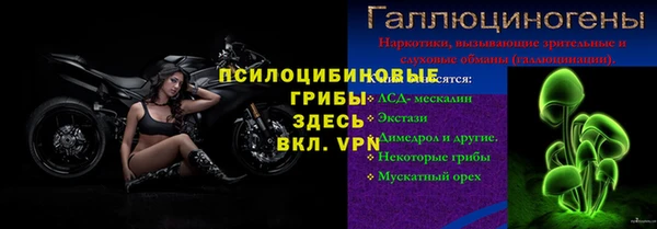 шишки Армянск