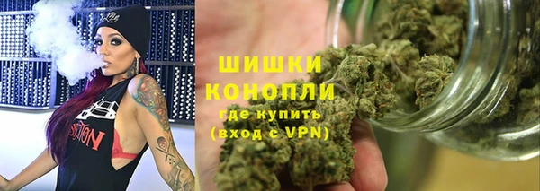 шишки Армянск