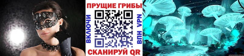 Галлюциногенные грибы MAGIC MUSHROOMS  Пошехонье 